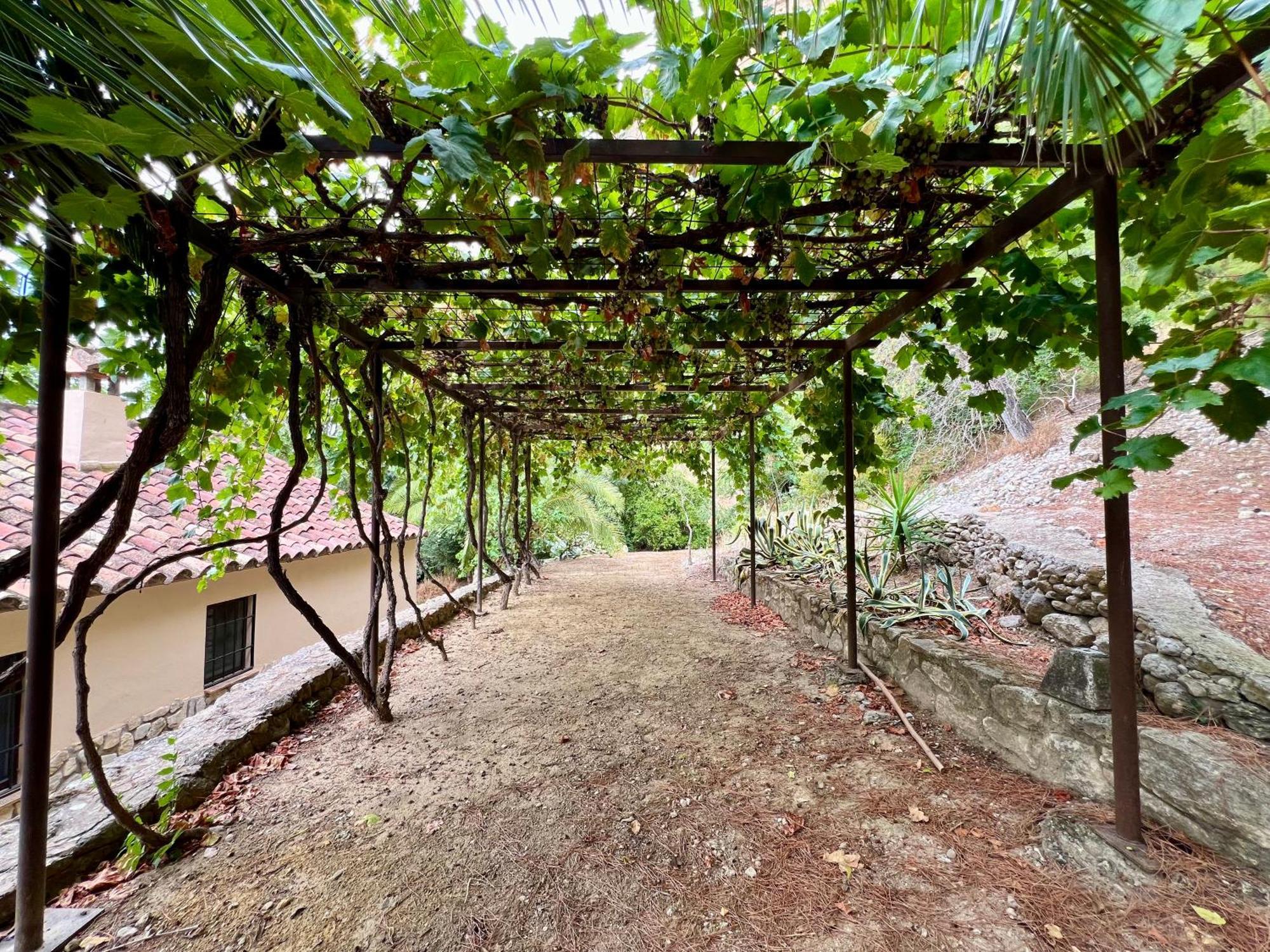 Huerta Del Tajo Ronda