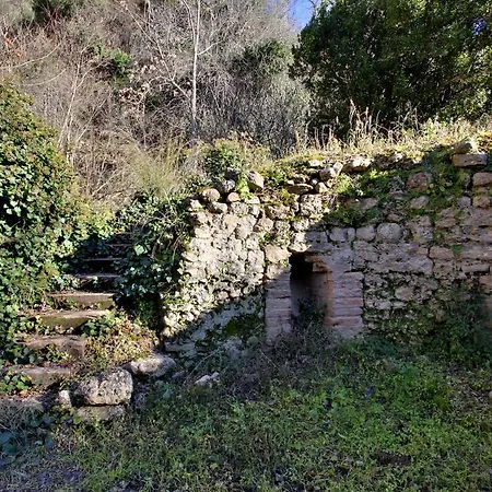 Huerta Del Tajo Guest House Ronda Exterior photo