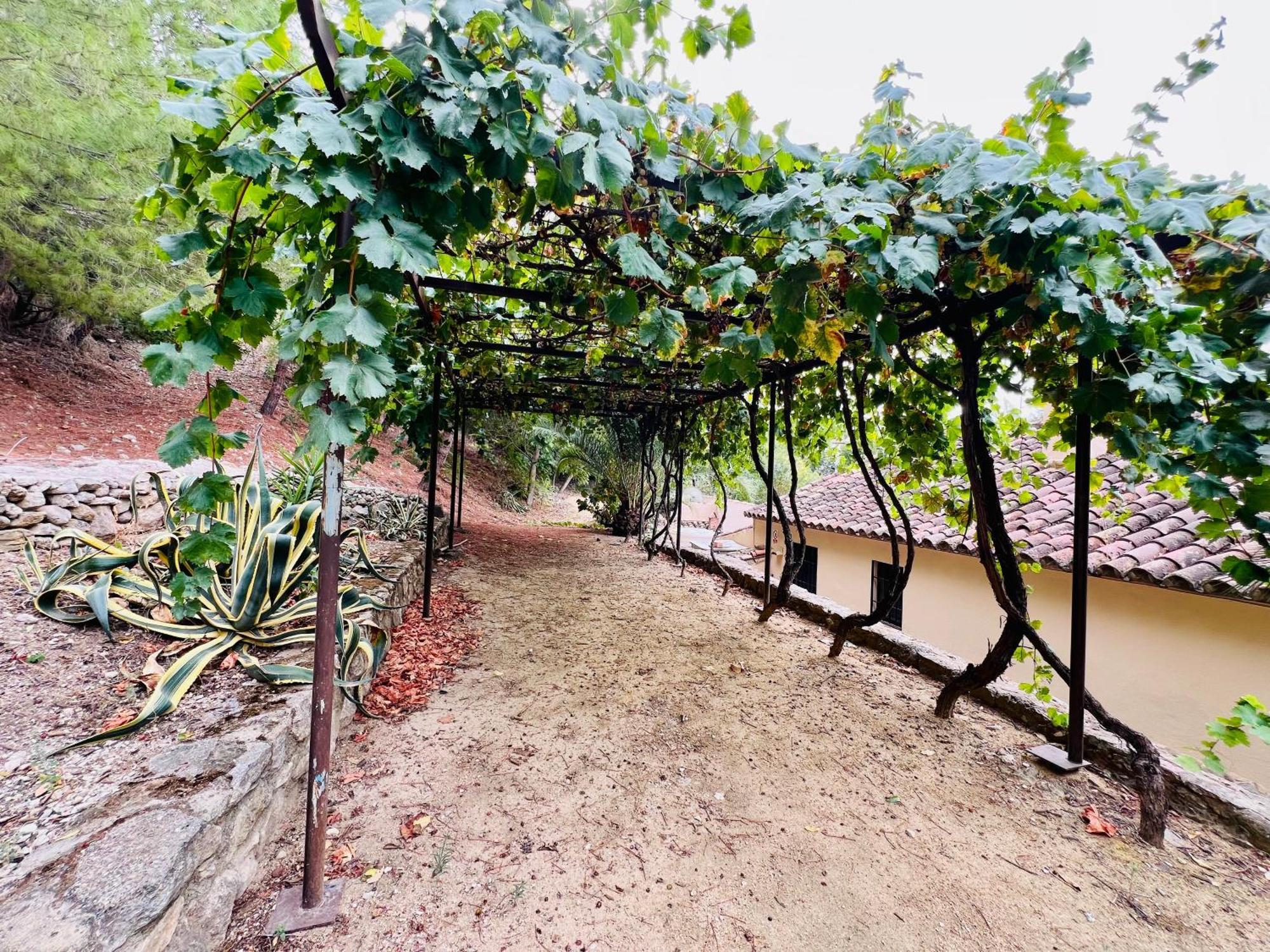Casa de Campo Huerta Del Tajo